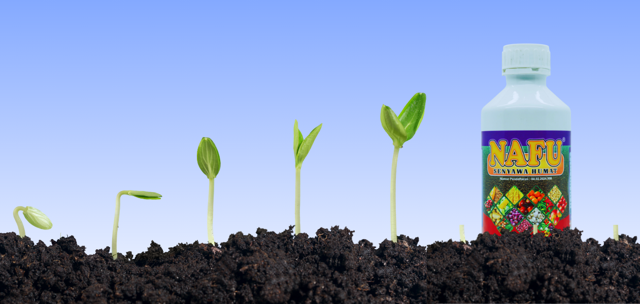 Desain tanpa judul (5)