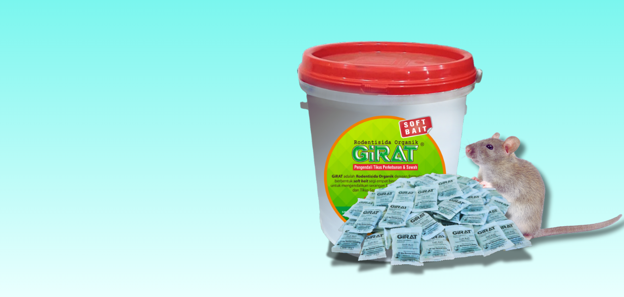 Desain tanpa judul (7)